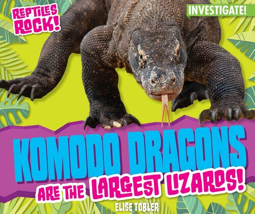 Komodo Dragons Are The Largest Lizards Elise Tobler