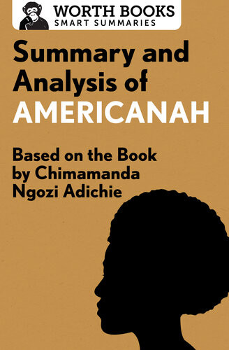 Summary And Analysis Of Americanah Based On The Book By Chimamanda Ngozi Adichie Worth Books