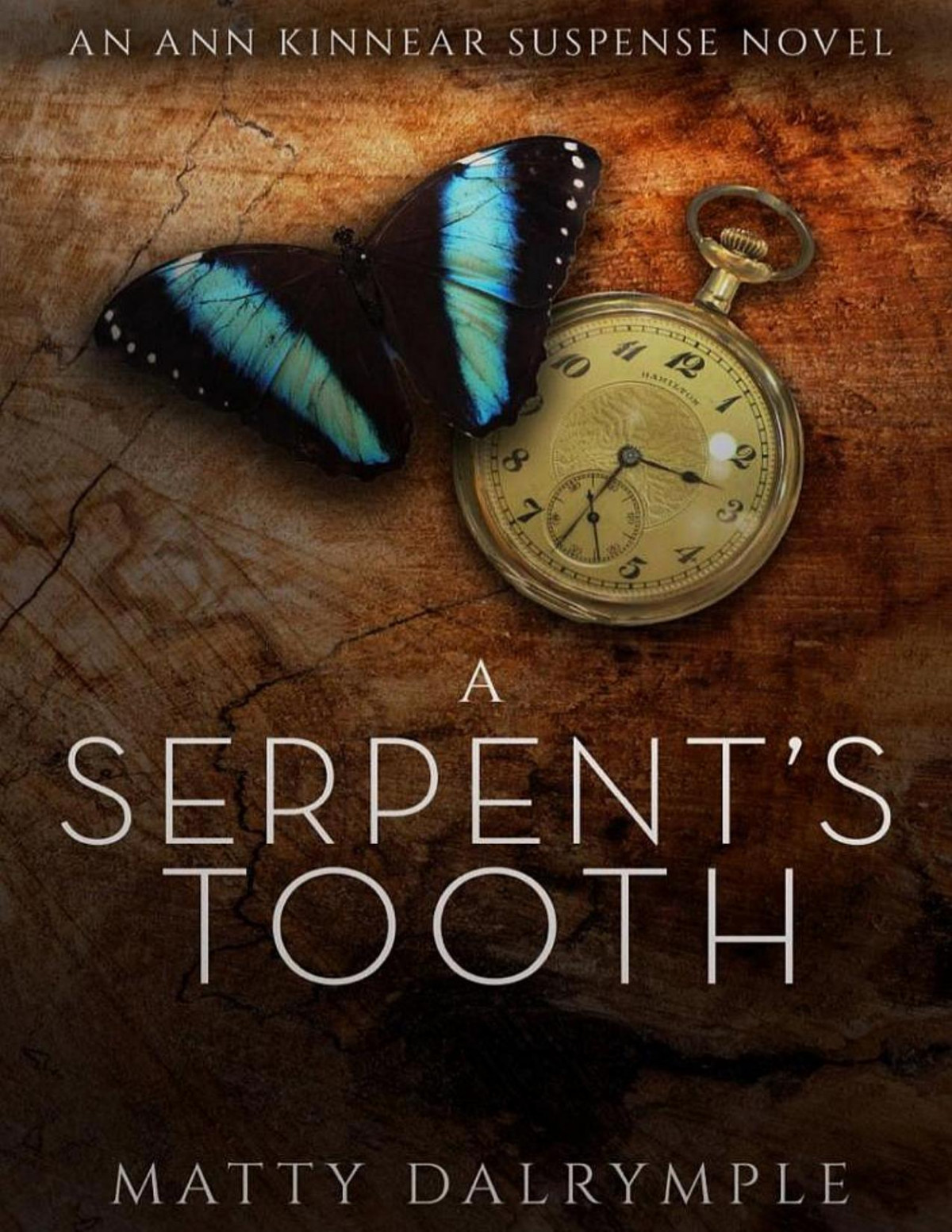 A Serpents Tooth An Ann Kinnear Suspense Novel Matty Dalrymple