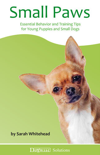 Small Paws Essential Behavior And Training Tips For Young Puppies And Small Dogs Sarah Whitehead