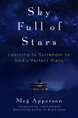 Sky Full Of Stars Learning To Surrender To Gods Perfect Plans Meg Apperson