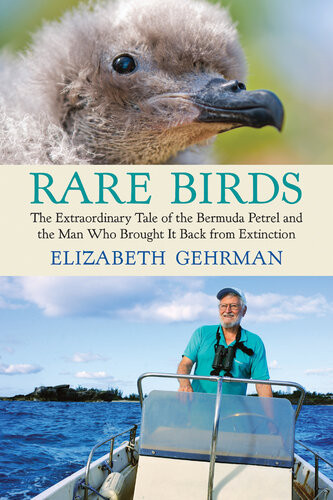 Rare Birds The Extraordinary Tale Of The Bermuda Petrel And The Man Who Brought It Back From Extinction Elizabeth Gehrman