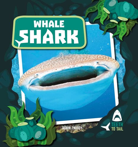 Whale Shark Robin Twiddy