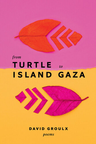 From Turtle Island To Gaza David Groulx