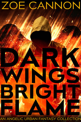 Dark Wings Bright Flame Zoe Cannon