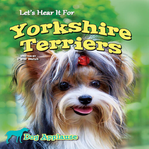 Lets Hear It For Yorkshire Terriers Piper Welsh