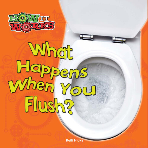 What Happens When You Flush Kelli Hicks