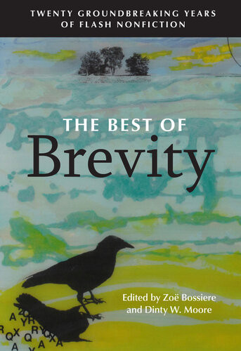 The Best Of Brevity Twenty Groundbreaking Years Of Flash Nonfiction Zo Bossiere