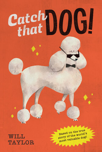 Catch That Dog 1st Edition Will Taylor