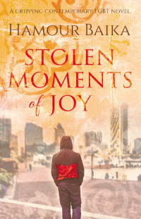 Stolen Moments Of Joy 1st Edition Hamour Baika