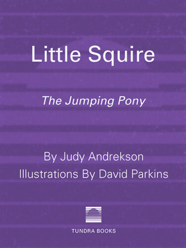 Little Squire The Jumping Pony 1st Judy Andrekson