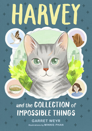 Harvey And The Collection Of Impossible Things Garret Weyr