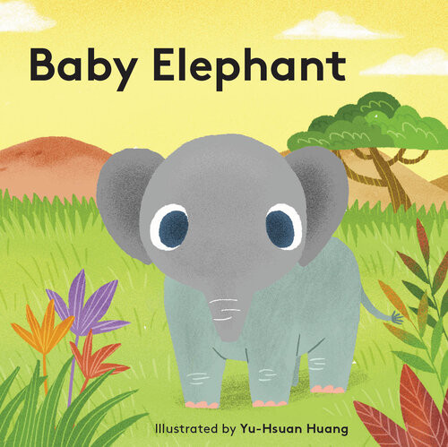 Baby Elephant Yuhsuan Huang