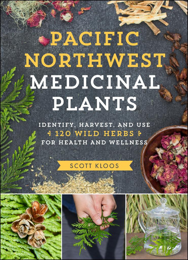 Pacific Northwest Medicinal Plants Identify Harvest And Use 120 Wild Herbs For Health And Wellness Scott Kloos