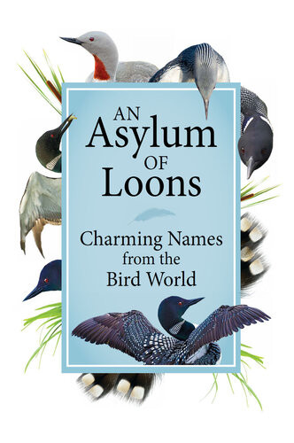 An Asylum Of Loons Charming Names From The Bird World Adventure Publications