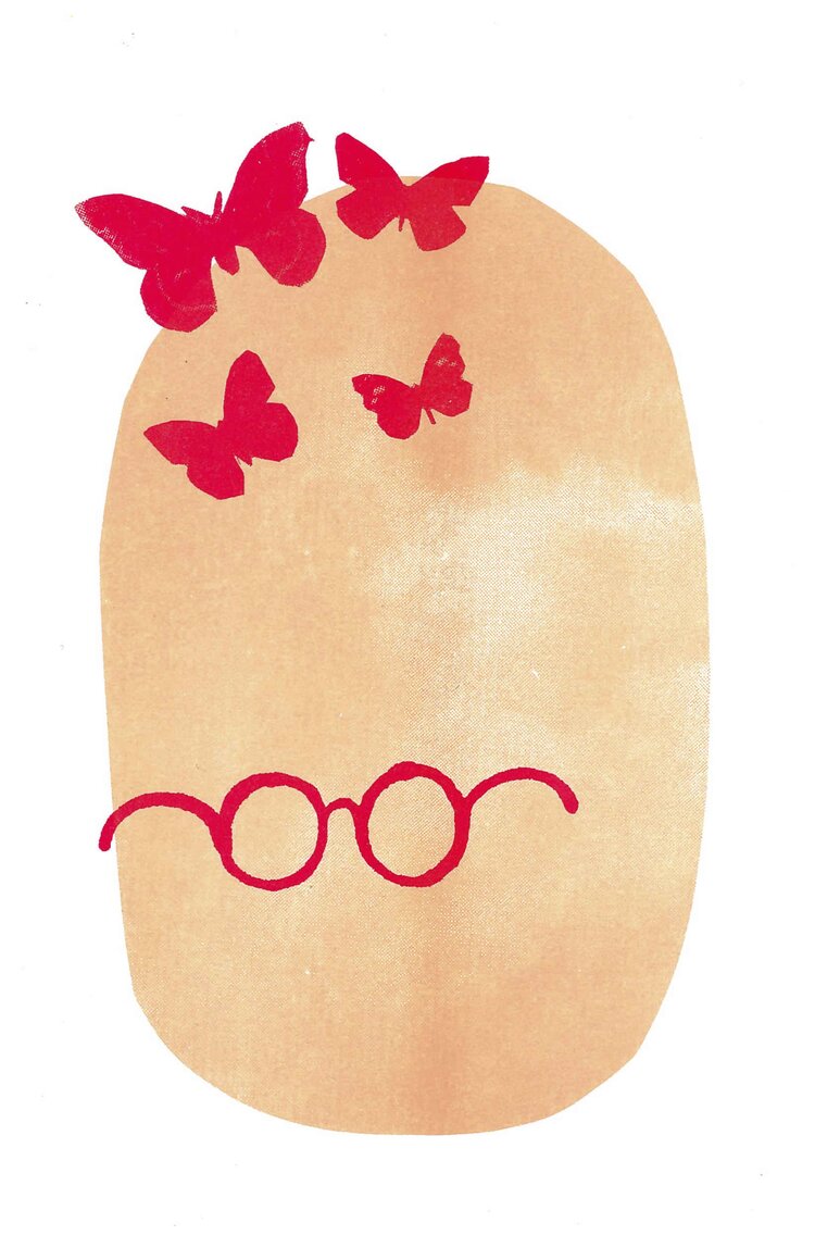Pnin Vladimir Nabokov