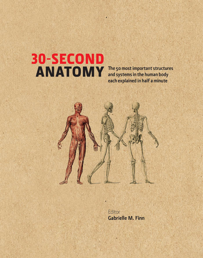 30second Anatomy Gabrielle M Finn