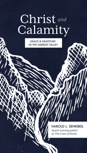 Christ And Calamity Grace And Gratitude In The Darkest Valley Harold Senkbeil