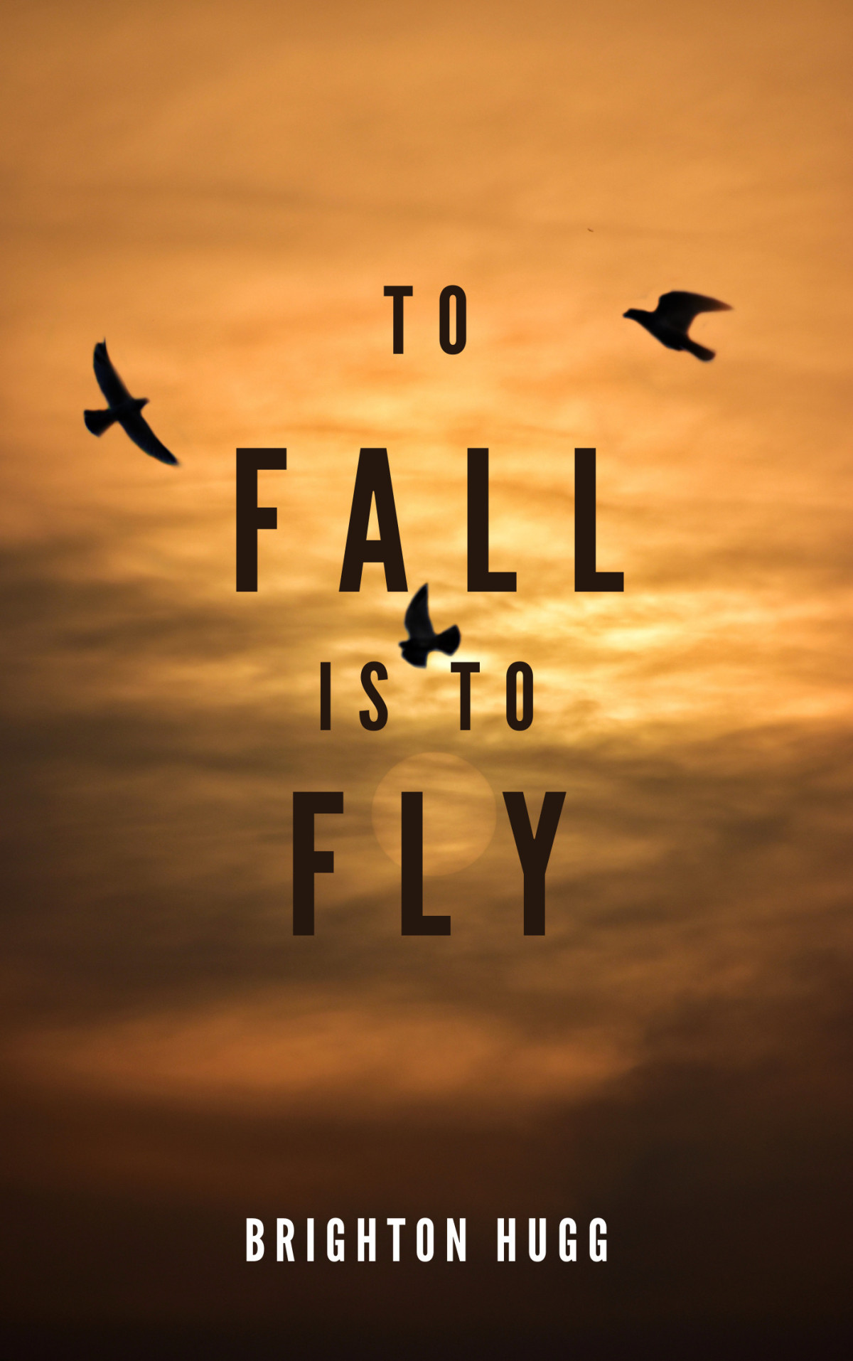 To Fall Is To Fly Brighton Hugg