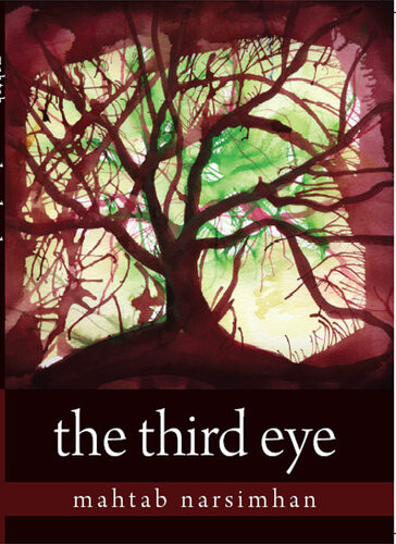 The Tara Trilogy 3book Bundle The Third Eye The Silver Anklet The Deadly Conch Mahtab Narsimhan