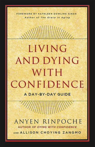 Living And Dying With Confidence A Daybyday Guide Anyen Allison Choying Zangmo