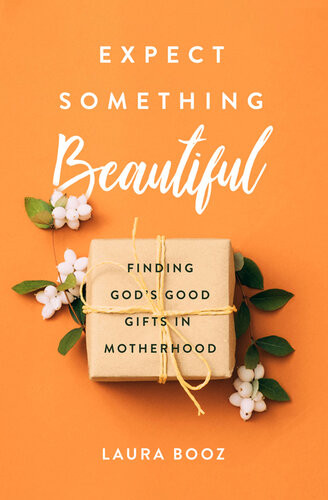 Expect Something Beautiful Finding Gods Good Gifts In Motherhood Laura Booz