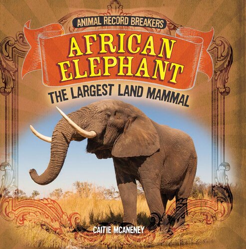 African Elephant The Largest Land Mammal Caitie Mcaneney