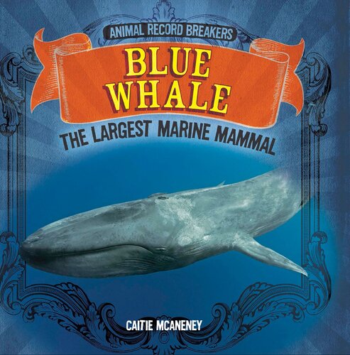 Blue Whale The Largest Marine Mammal Caitie Mcaneney