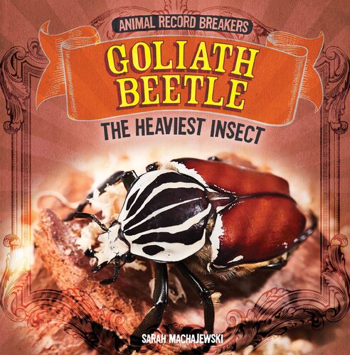 Goliath Beetle The Heaviest Insect Sarah Machajewski