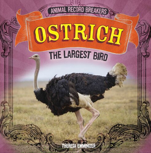 Ostrich The Largest Bird Theresa Emminizer