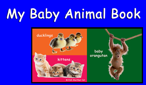 My Baby Animal Book A Learn With Animal Friends Book Shannon Hale