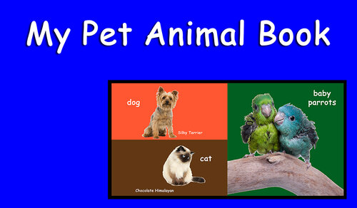 My Pet Animal Book A Learn With Animal Friends Book David Eastman