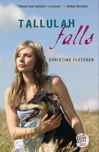 Tallulah Falls Christine Fletcher