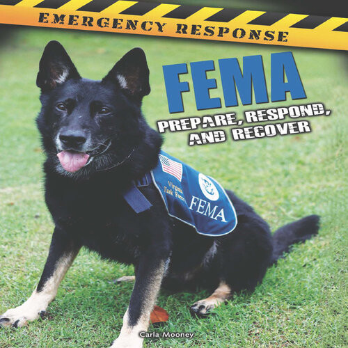Fema Prepare Respond And Recover Carla Mooney