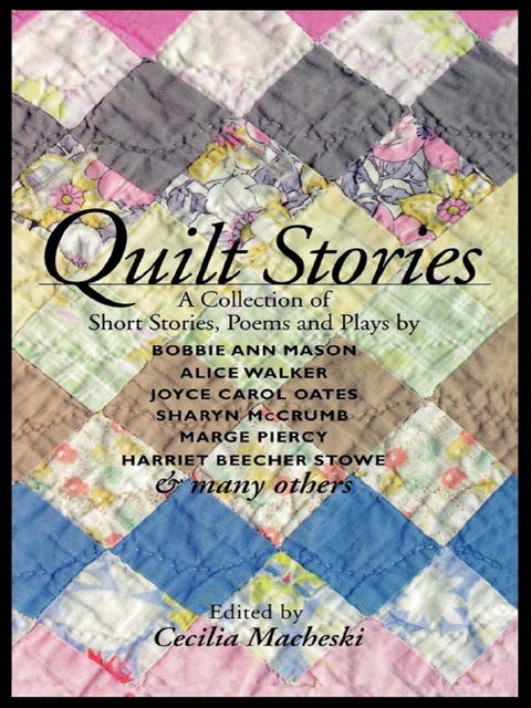 Quilt Stories Reprint Paul R Schratz