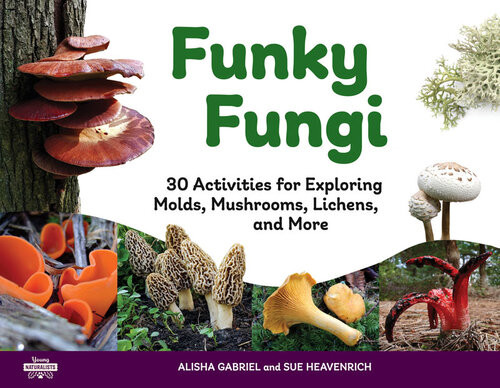 Funky Fungi 30 Activities For Exploring Molds Mushrooms Lichens And More Alisha Gabriel