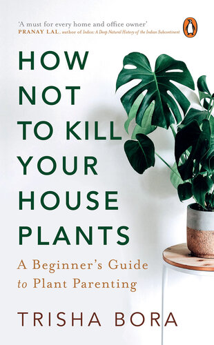 How Not To Kill Your Houseplants A Beginners Guide To Plant Parenting Trisha Bora