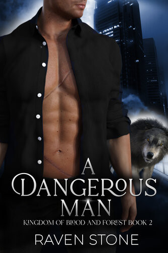 A Dangerous Man Raven Stone