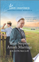 Their Surprise Amish Marriage Jocelyn Mcclay