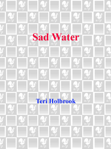 Sad Water A Novel Teri Holbrook