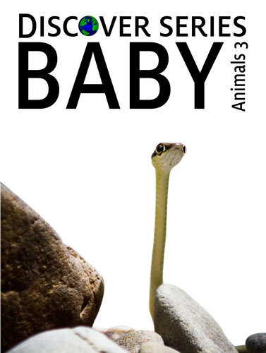 Baby Animals 3 Xist Publishing