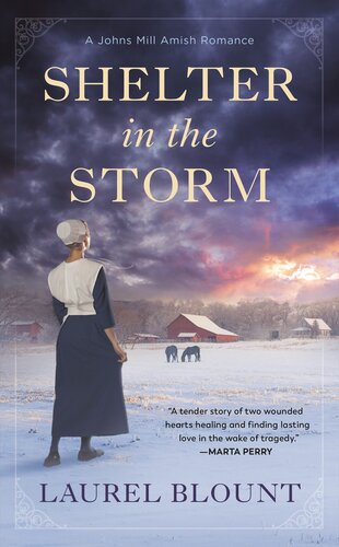 Shelter In The Storm Laurel Blount