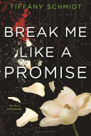 Break Me Like A Promise Tiffany Schmidt