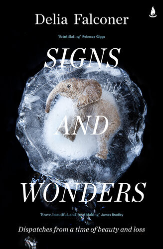Signs And Wonders Dispatches From A Time Of Beauty And Loss Delia Falconer