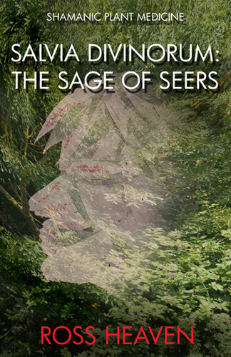 Shamanic Plant Medicinesalvia Divinorum The Sage Of The Seers Ross Heaven