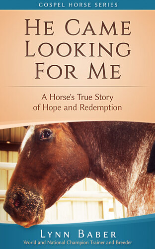 He Came Looking For Me A True Story Of Hope And Redemption Lynn Baber