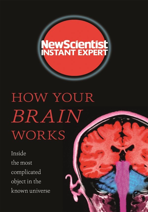 How Your Brain Works Inside The Most Complicated Object In The Known Universe New Scientist Instant Expert New Scientist