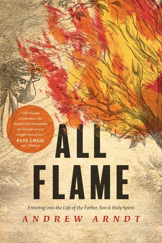 All Flame Entering Into The Life Of The Father Son And Holy Spirit Andrew Arndt