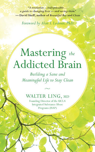 Mastering The Addicted Brain Building A Sane And Meaningful Life To Stay Clean Walter Ling