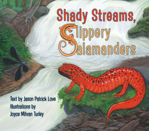 Shady Streams Slippery Salamanders Jason Patrick Love